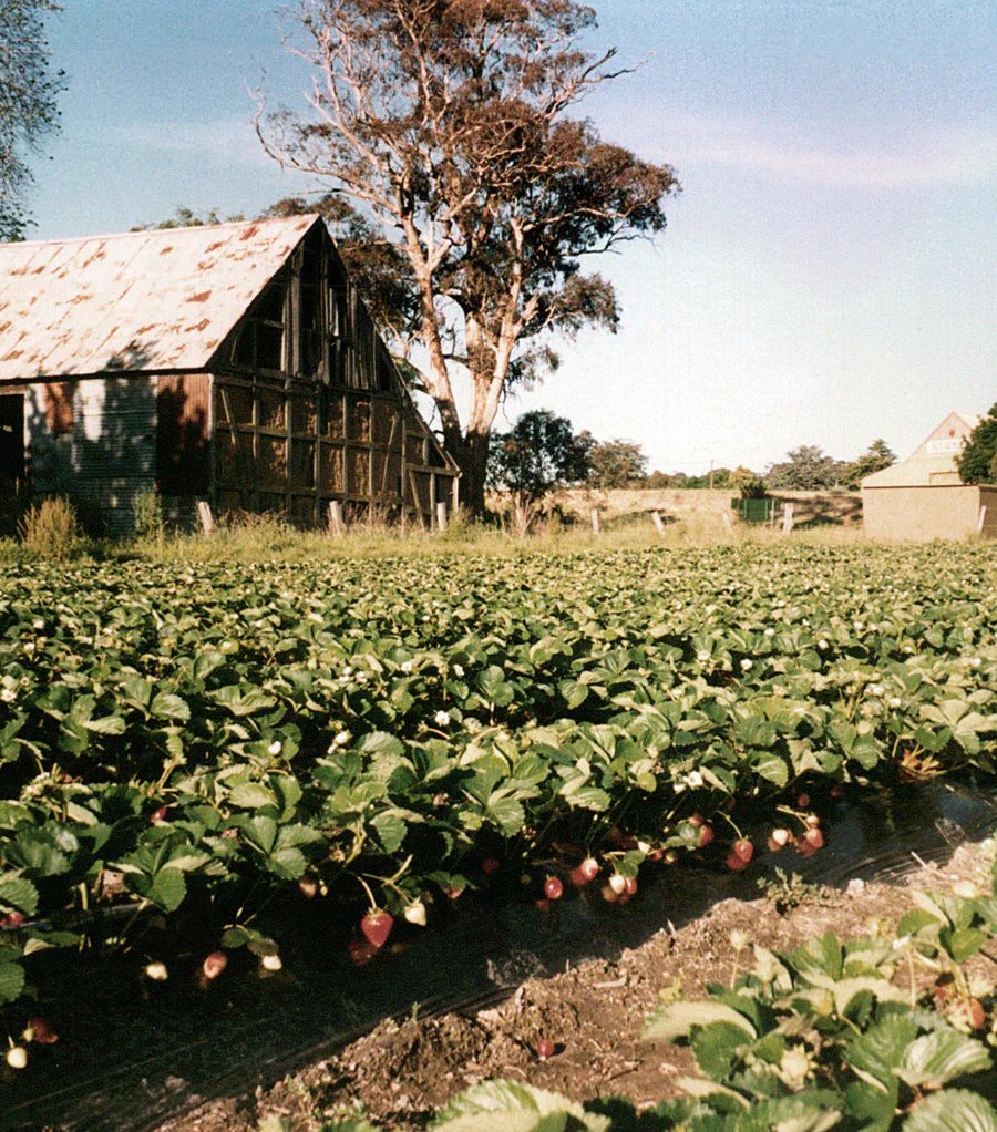 역사적인 베렌버그 헛간 (Historic Beerenberg Barn)
